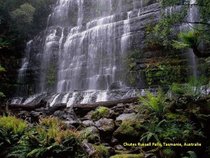 Chutes Russell Falls, Tasmanie, Australie 