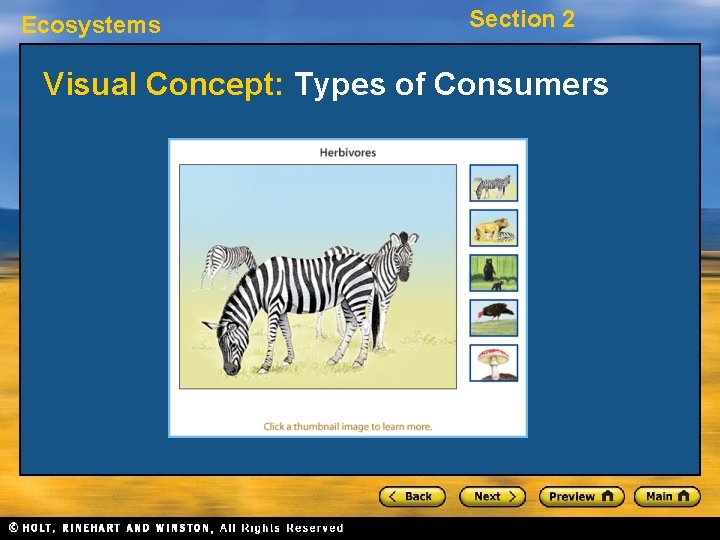 Ecosystems Section 2 Visual Concept: Types of Consumers 