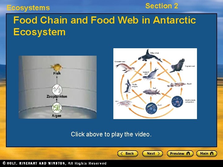 Ecosystems Section 2 Food Chain and Food Web in Antarctic Ecosystem Click above to