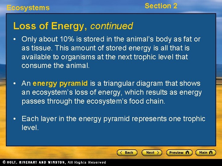 Ecosystems Section 2 Loss of Energy, continued • Only about 10% is stored in