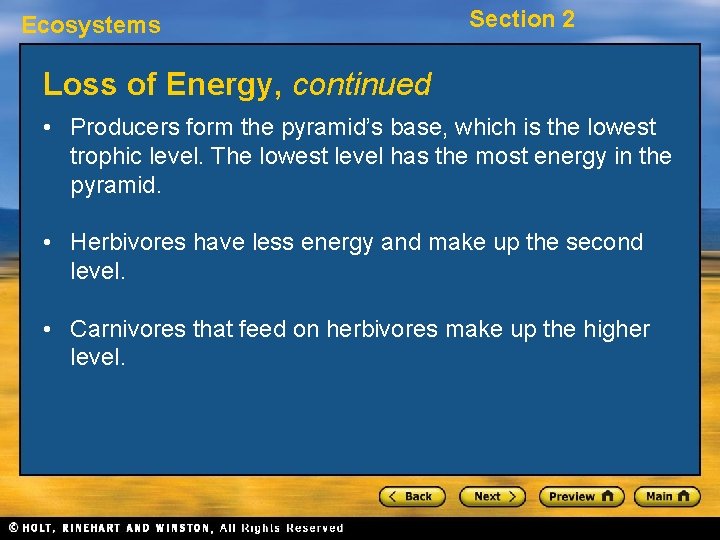 Ecosystems Section 2 Loss of Energy, continued • Producers form the pyramid’s base, which