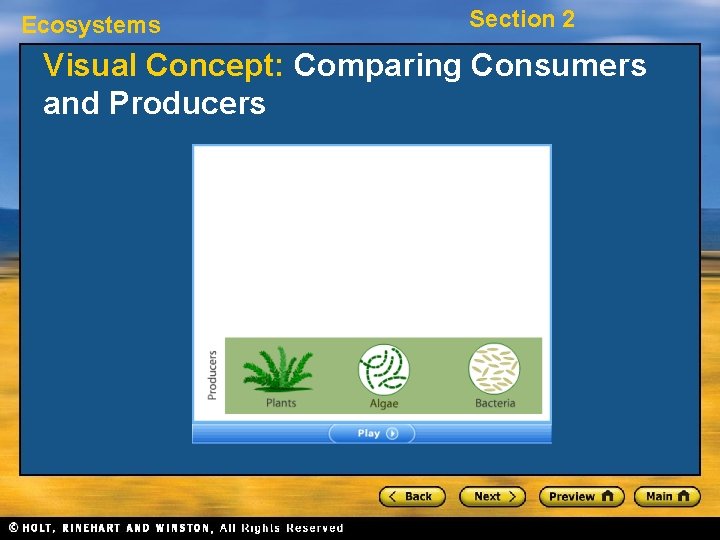 Ecosystems Section 2 Visual Concept: Comparing Consumers and Producers 