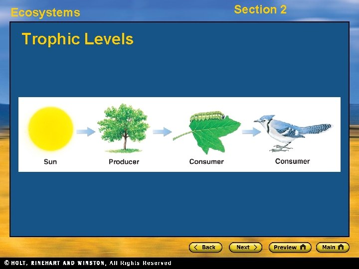 Ecosystems Trophic Levels Section 2 