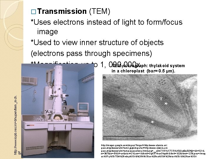 (TEM) *Uses electrons instead of light to form/focus image *Used to view inner structure (TEM) *Uses electrons instead of light to form/focus image *Used to view inner structure
