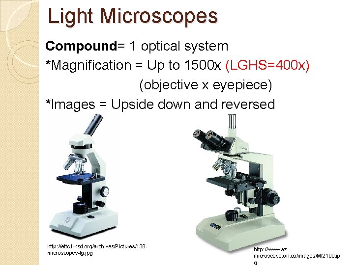 Light Microscopes Compound= 1 optical system *Magnification = Up to 1500 x (LGHS=400 x) Light Microscopes Compound= 1 optical system *Magnification = Up to 1500 x (LGHS=400 x)