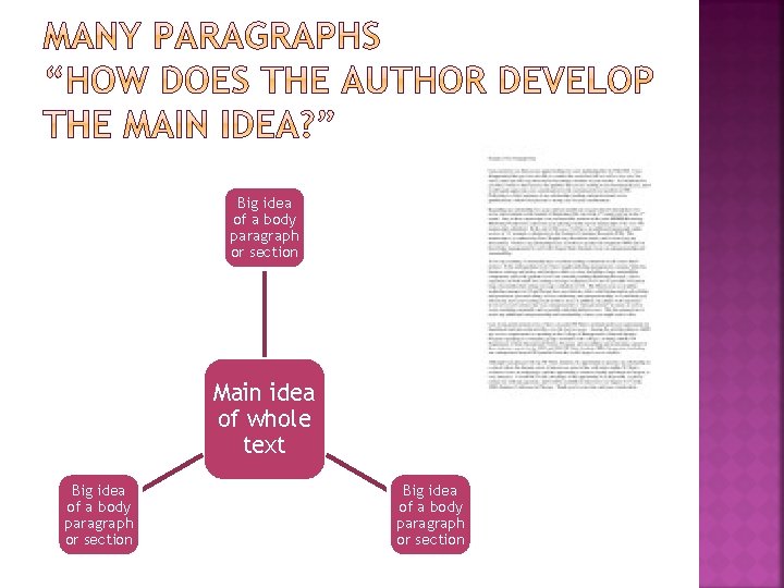 Big idea of a body paragraph or section Main idea of whole text Big