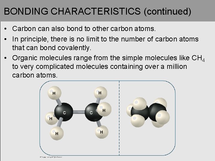 BONDING CHARACTERISTICS (continued) • Carbon can also bond to other carbon atoms. • In