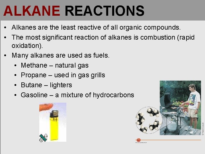 ALKANE REACTIONS • Alkanes are the least reactive of all organic compounds. • The