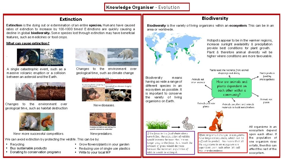 Knowledge Organiser – Evolution Biodiversity Extinction is the dying out or extermination of an