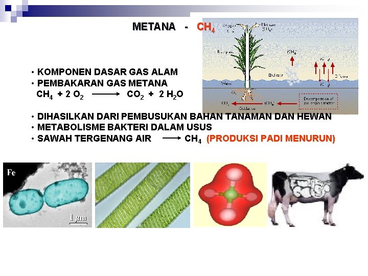 METANA - CH 4 • KOMPONEN DASAR GAS ALAM • PEMBAKARAN GAS METANA CH