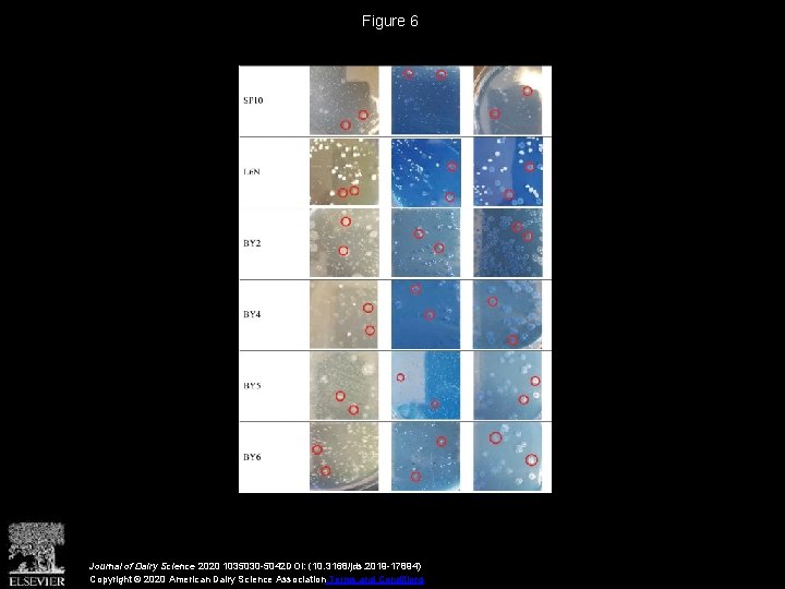 Figure 6 Journal of Dairy Science 2020 1035030 -5042 DOI: (10. 3168/jds. 2019 -17894)