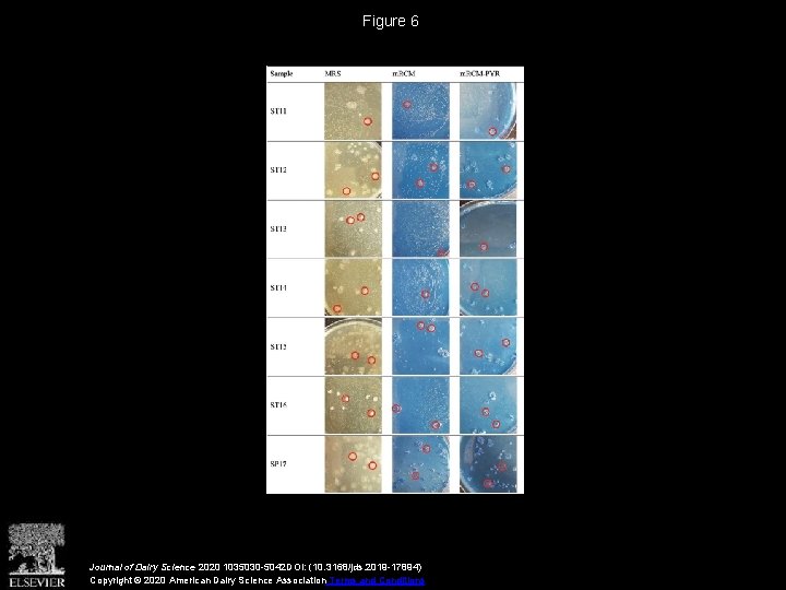 Figure 6 Journal of Dairy Science 2020 1035030 -5042 DOI: (10. 3168/jds. 2019 -17894)