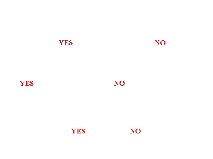 YES NO NO YES NO YES NO NO YES NO