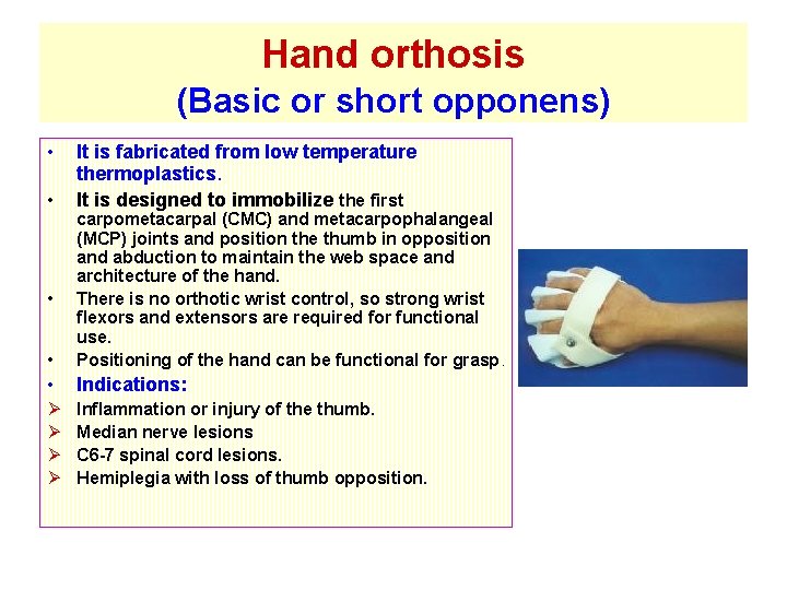 Hand orthosis (Basic or short opponens) • • It is fabricated from low temperature