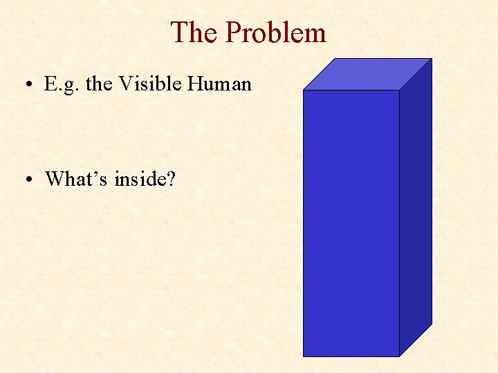 The Problem • E. g. the Visible Human • What’s inside? 