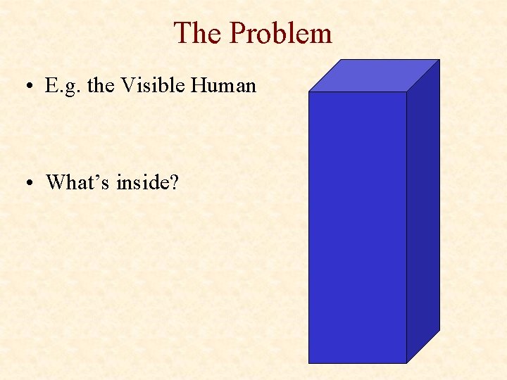 The Problem • E. g. the Visible Human • What’s inside? 