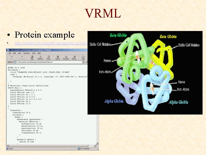 VRML • Protein example • http: //www. rcsb. org/pdb/cgi/explore. cgi? job=graphics&pdb. Id=4 TNA&page=&pid=16250983503380 