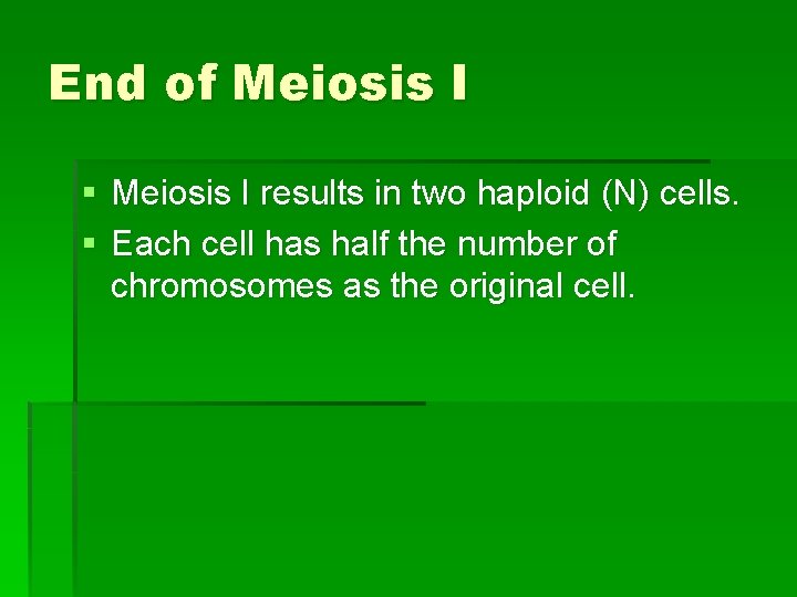 End of Meiosis I § Meiosis I results in two haploid (N) cells. §