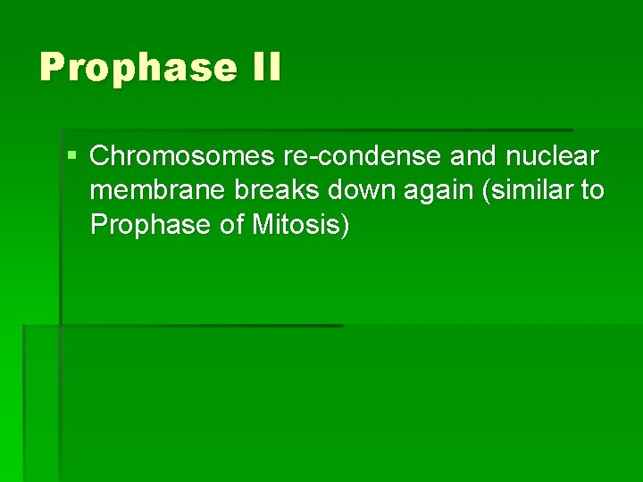 Prophase II § Chromosomes re-condense and nuclear membrane breaks down again (similar to Prophase
