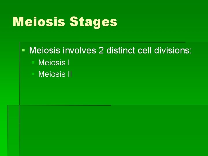 Meiosis Stages § Meiosis involves 2 distinct cell divisions: § Meiosis II 