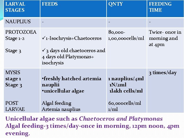 LARVAL STAGES FEEDS QNTY FEEDING TIME NAUPLIUS - - - ü 1 -Isochrysis+Chaetoceros 80,