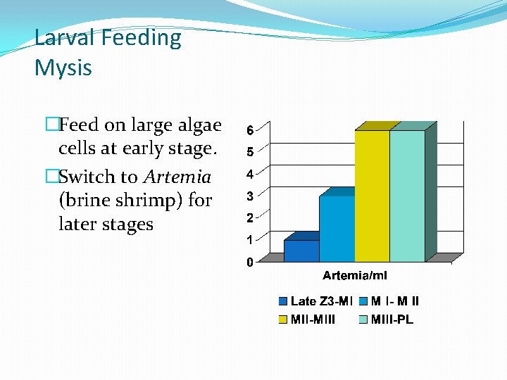Larval Feeding Mysis �Feed on large algae cells at early stage. �Switch to Artemia