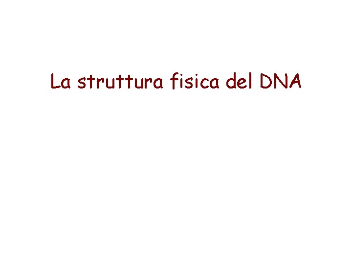 La struttura fisica del DNA 