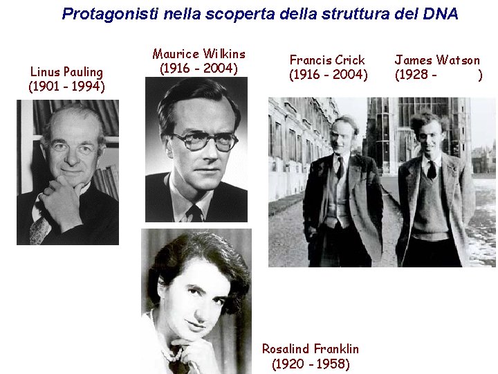 Protagonisti nella scoperta della struttura del DNA Linus Pauling (1901 - 1994) Maurice Wilkins