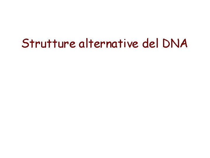Strutture alternative del DNA 