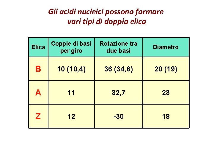 Gli acidi nucleici possono formare vari tipi di doppia elica Elica Coppie di basi
