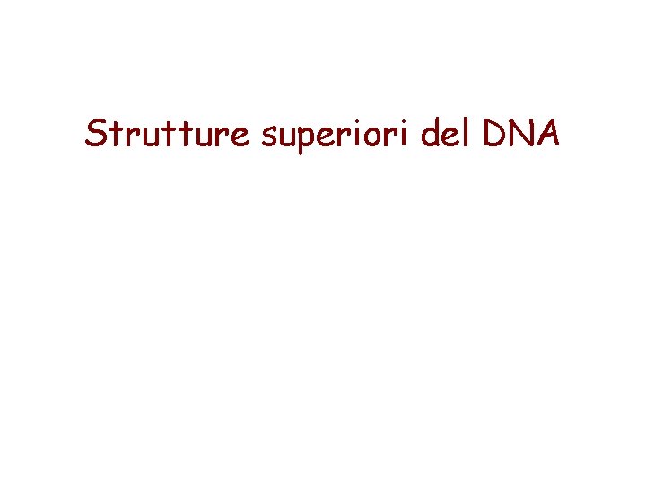 Strutture superiori del DNA 
