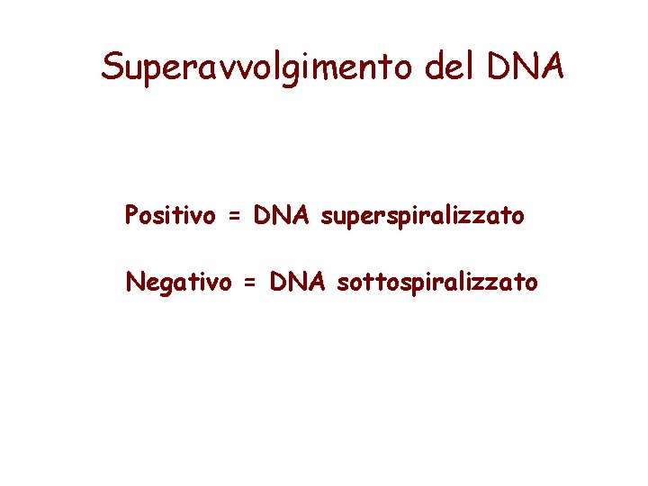Superavvolgimento del DNA Positivo = DNA superspiralizzato Negativo = DNA sottospiralizzato 
