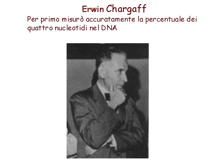 Erwin Chargaff Per primo misurò accuratamente la percentuale dei quattro nucleotidi nel DNA 