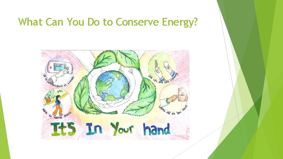 What Can You Do to Conserve Energy? 