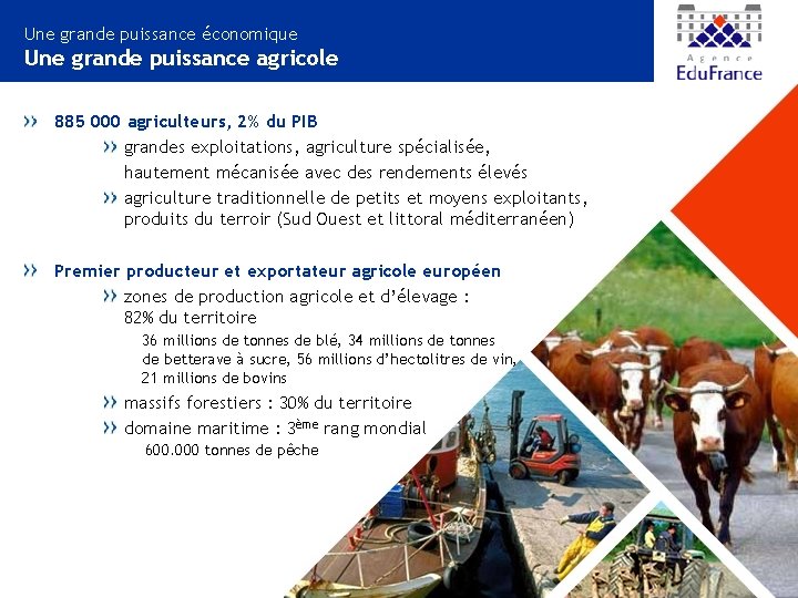 Une grande puissance économique Une grande puissance agricole 885 000 agriculteurs, 2% du PIB