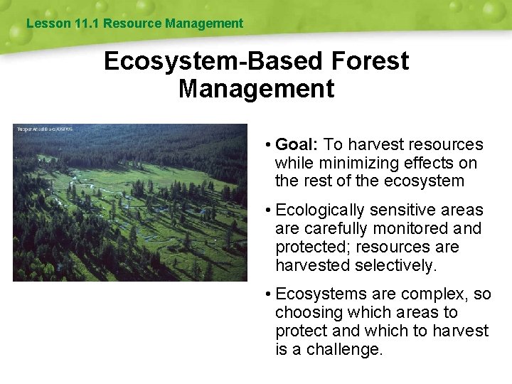 Forestry Lesson 11 1 Resource Management EcosystemBased Forest
