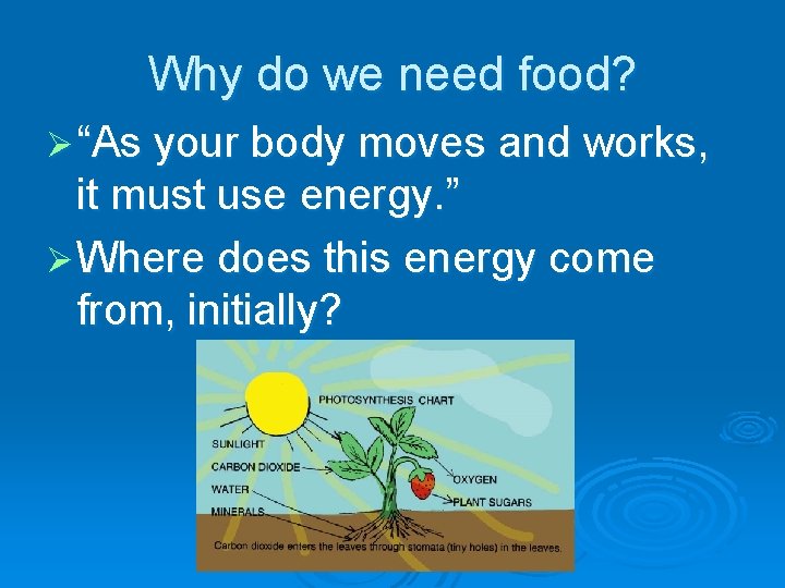 Why do we need food? Ø “As your body moves and works, it must