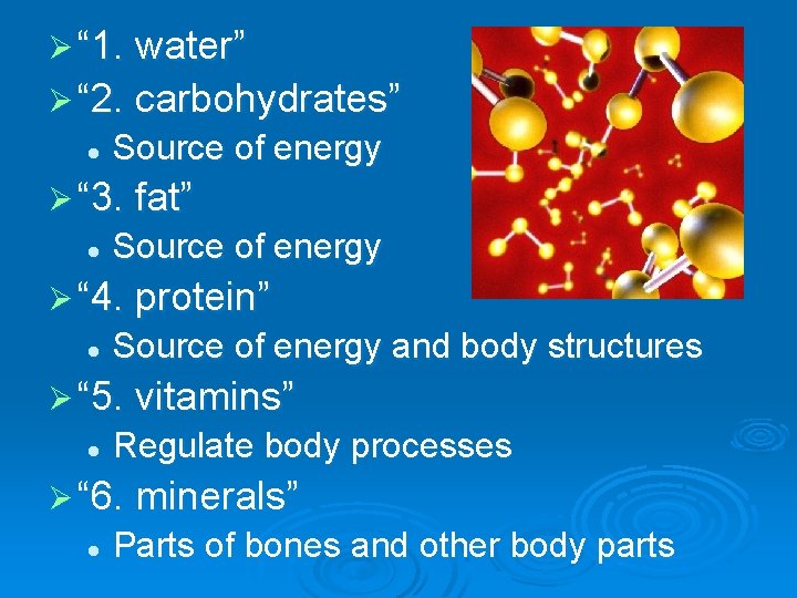 Ø “ 1. water” Ø “ 2. carbohydrates” l Source of energy Ø “