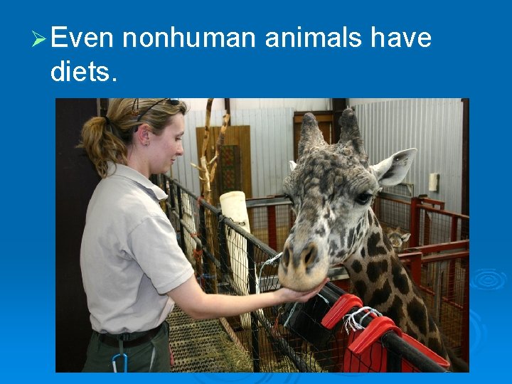 Ø Even nonhuman animals have diets. 