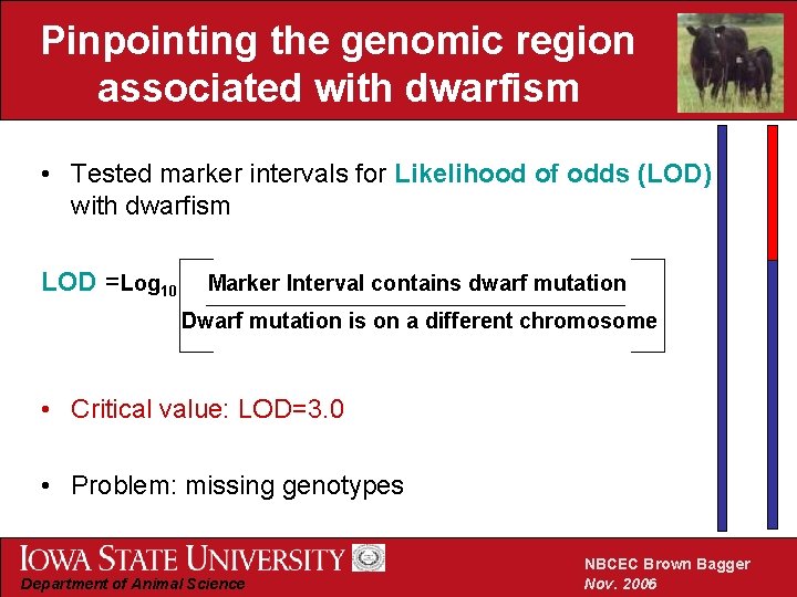 Pinpointing the genomic region associated with dwarfism • Tested marker intervals for Likelihood of