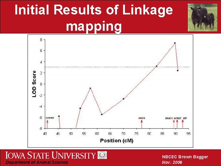Initial Results of Linkage mapping Department of Animal Science NBCEC Brown Bagger Nov. 2006