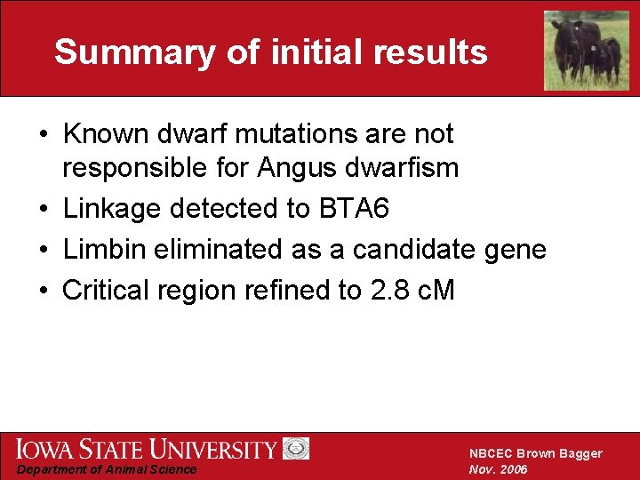 Summary of initial results • Known dwarf mutations are not responsible for Angus dwarfism