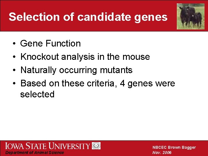 Selection of candidate genes • • Gene Function Knockout analysis in the mouse Naturally