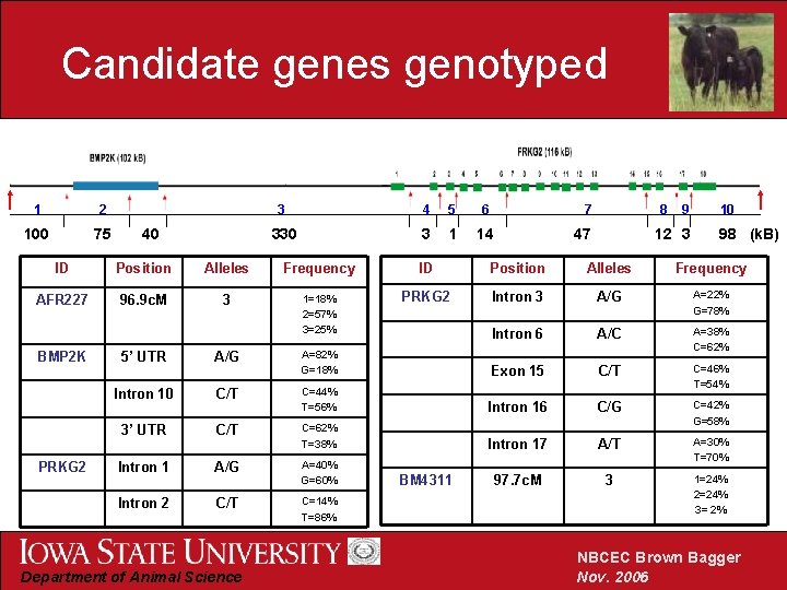 Candidate genes genotyped 1 2 100 75 40 3 4 5 6 7 330