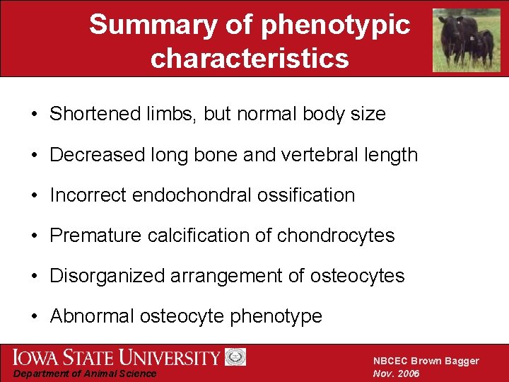 Summary of phenotypic characteristics • Shortened limbs, but normal body size • Decreased long