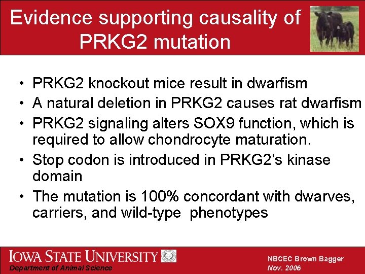 Evidence supporting causality of PRKG 2 mutation • PRKG 2 knockout mice result in