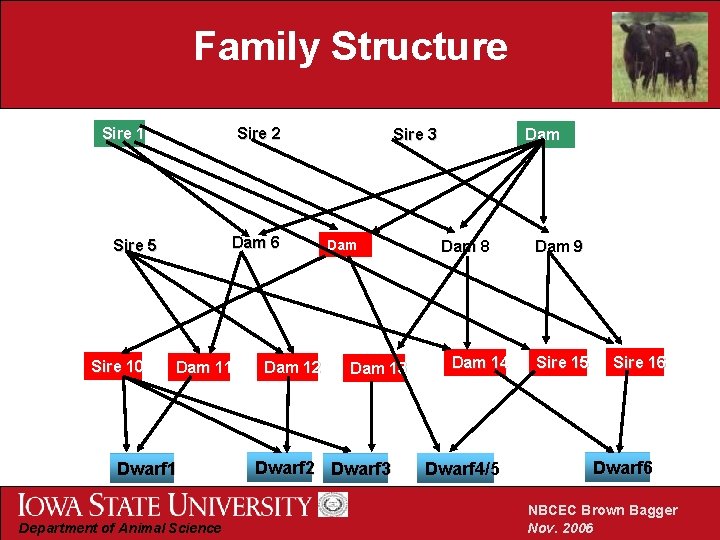 Family Structure Sire 1 Sire 2 Dam 6 Sire 5 Sire 10 Dam 11