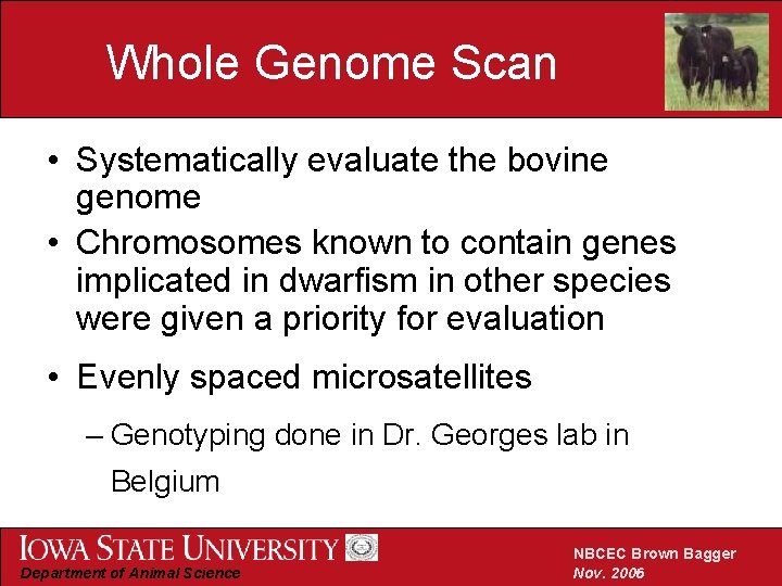 Whole Genome Scan • Systematically evaluate the bovine genome • Chromosomes known to contain
