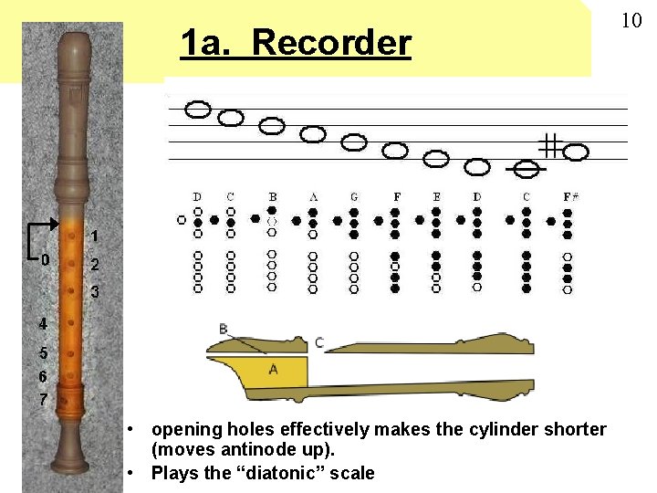 1 a. Recorder x • opening holes effectively makes the cylinder shorter (moves antinode