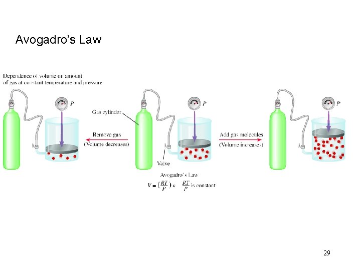 Avogadro’s Law 29 